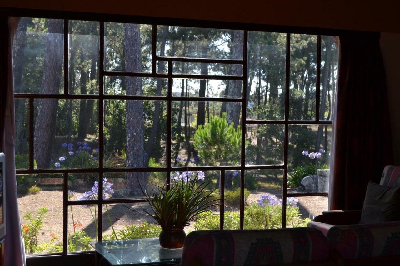 몰레도 Casa Do Sol 빌라 외부 사진